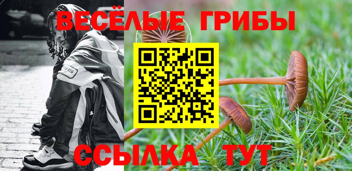 Удомля  Псилоцибиновые грибы Cubensis  Вход с VPN 